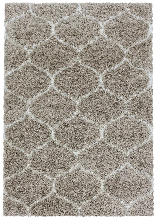 Beżowy dywan 120x170 cm Salsa – Ayyildiz Carpets