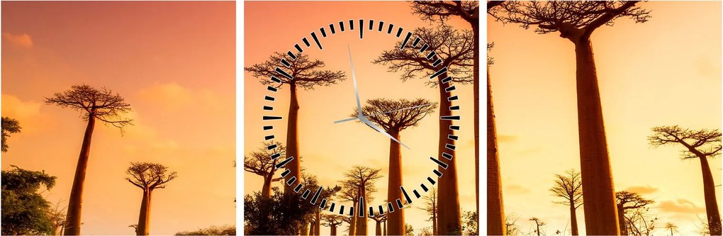 Obraz - Zachód słońca w Baobab Alley (z zegarem) (90x30 cm)