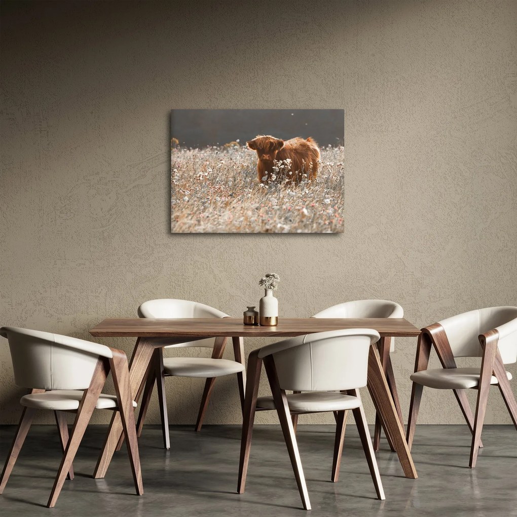 Obraz - Szkocka krowa w kwiatach (70x50 cm)