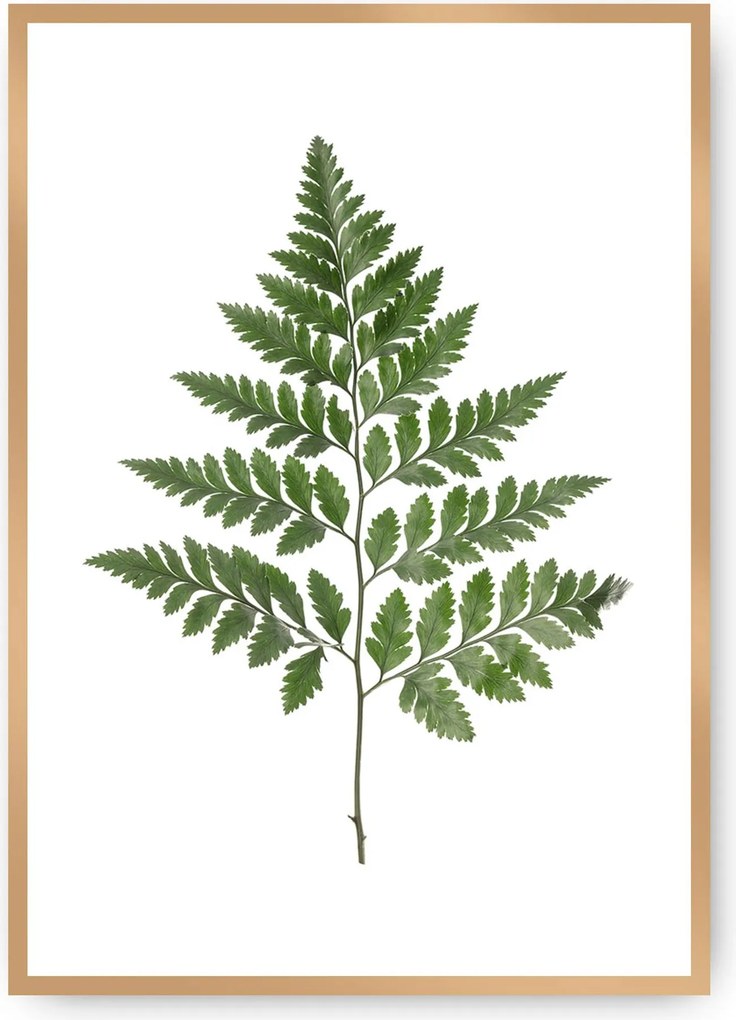 Plakat Fern Green