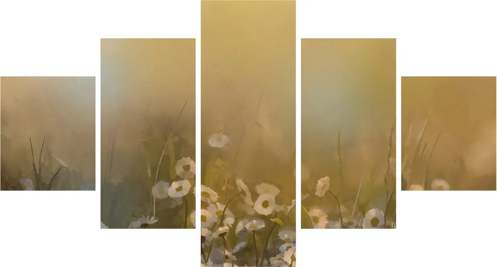 Obraz - Obraz olejny stokrotek (125x70 cm)