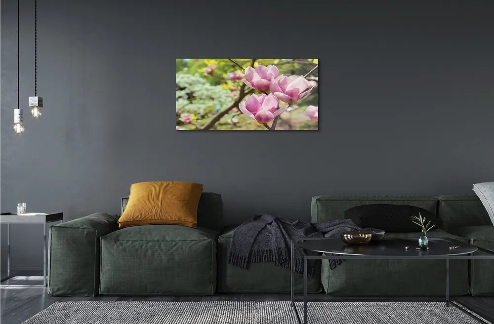Obraz akrylowy Magnolia drzewa