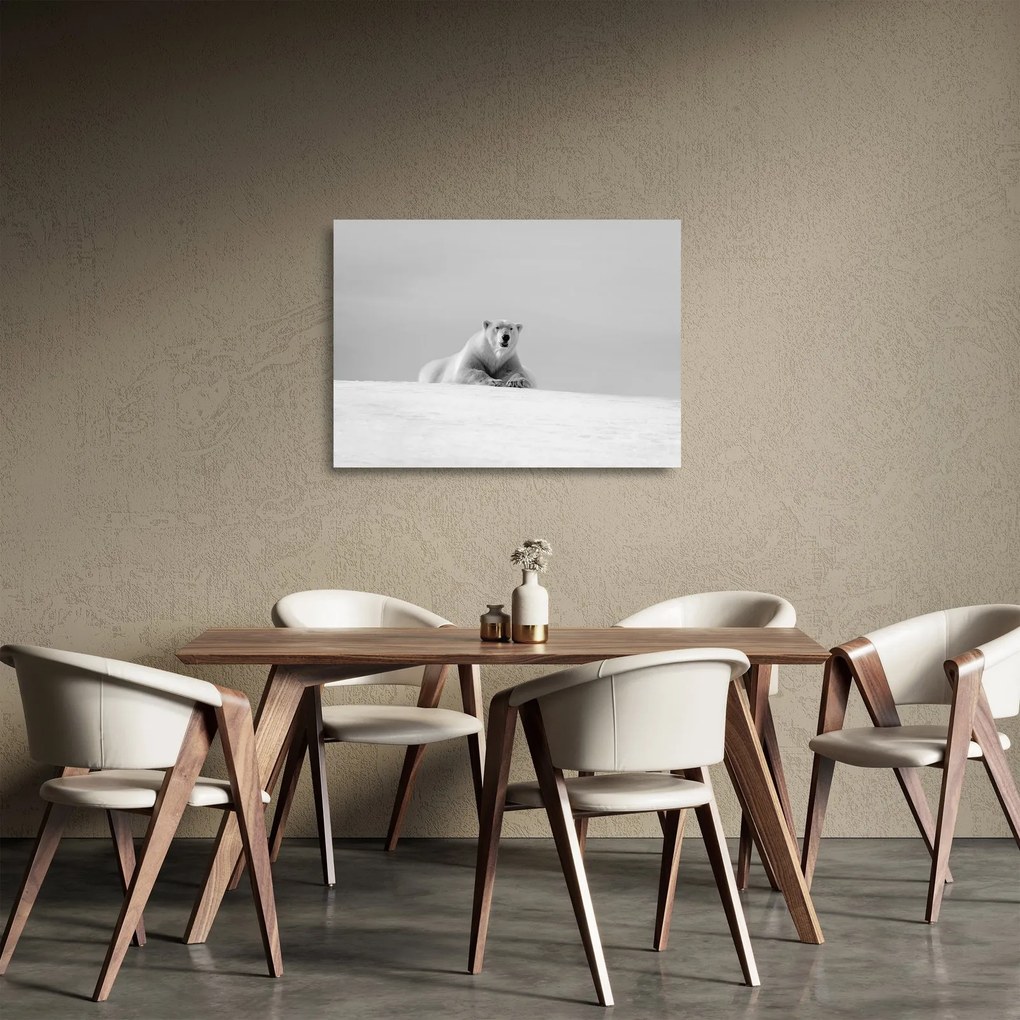Obraz na szkle - Niedźwiedź polarny (70x50 cm)