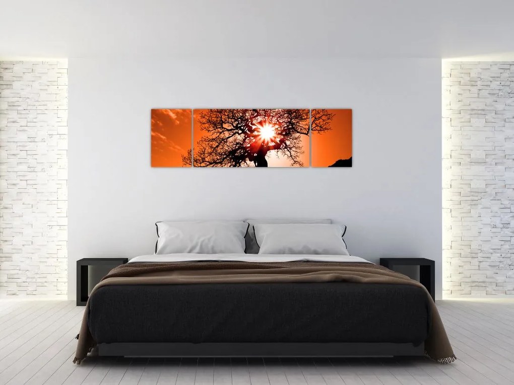 Obraz - Dąb o zachodzie słońca (170x50 cm)