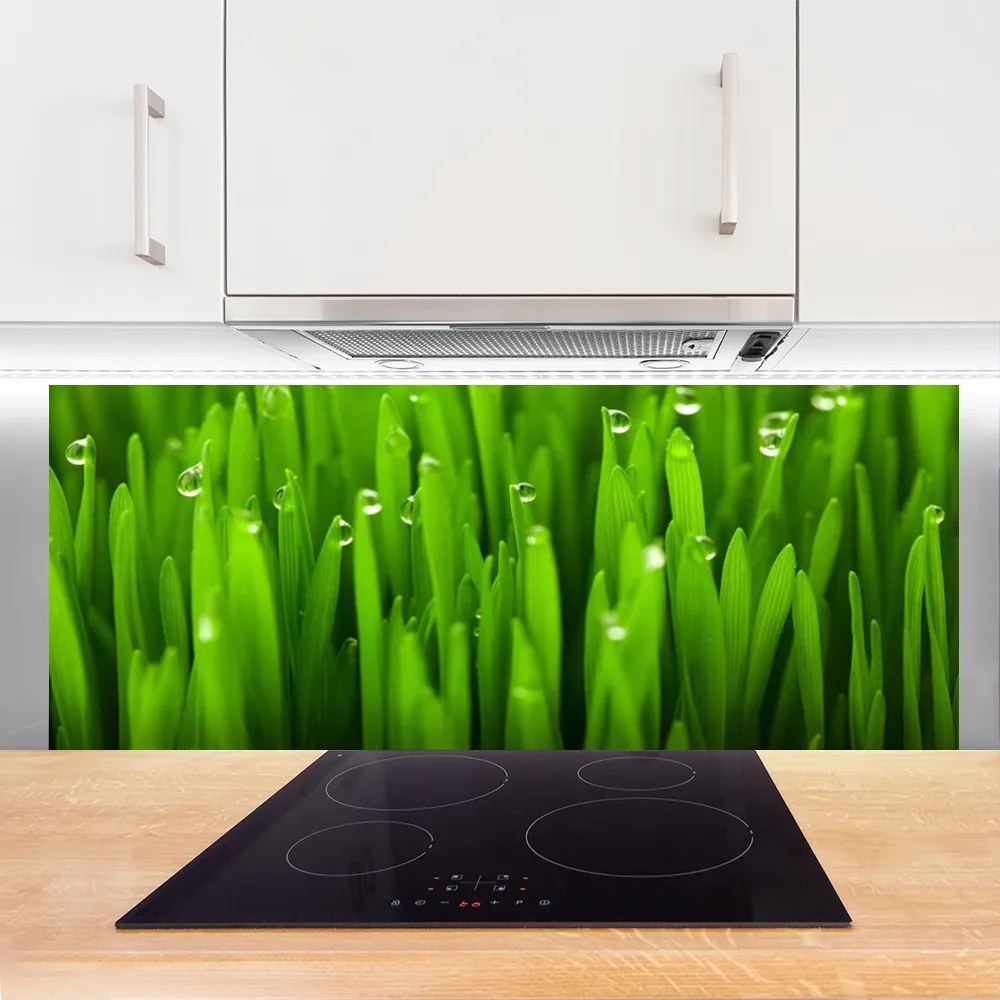 Panel Kuchenny Naturalne Źdźbła Trawy