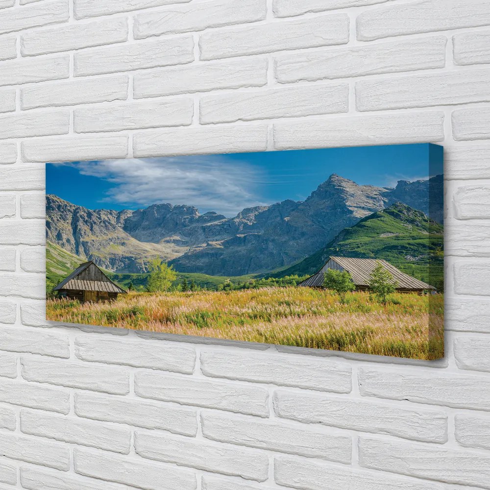 Zdjęcie na płótnie Góry, Pola i Domki