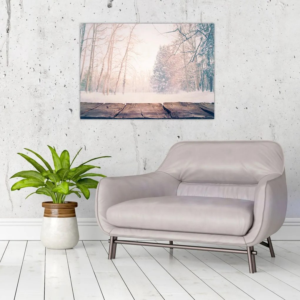 Obraz - Widok na las (70x50 cm)