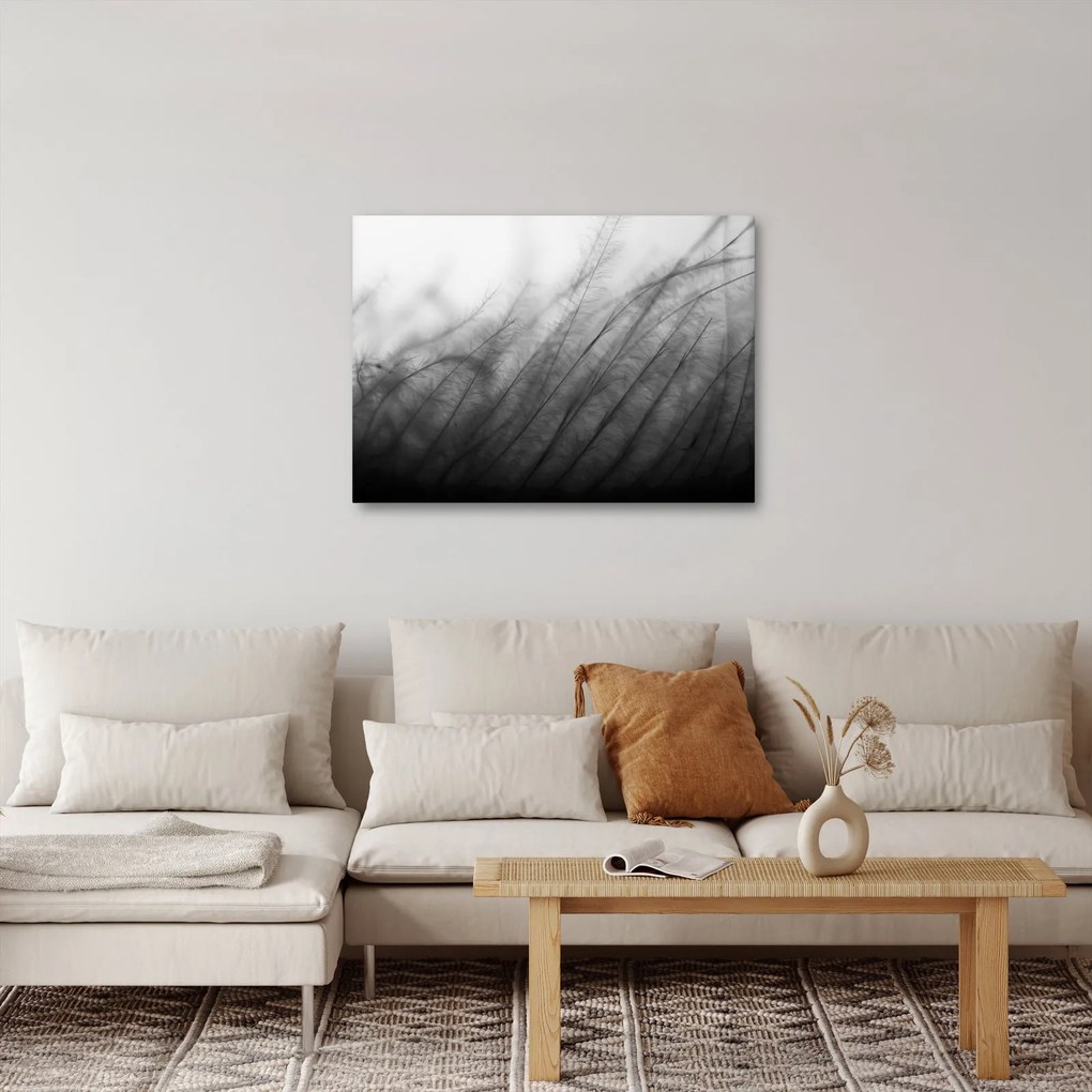 Obraz - Trawa na wietrze (70x50 cm)