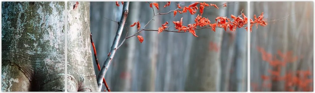 Obraz - Jesień (170x50 cm)