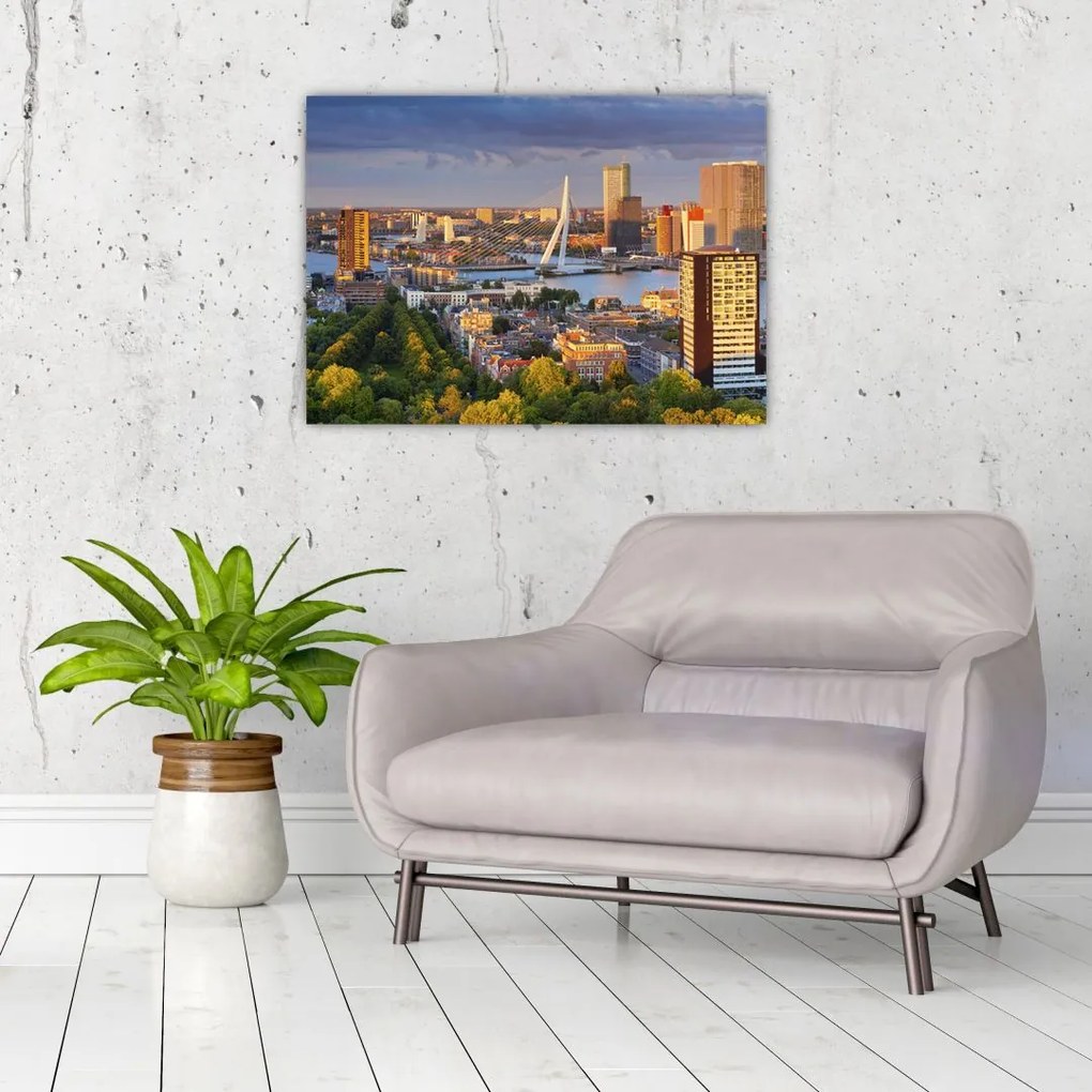 Obraz na szkle - Panorama Rotterdamu, Holandia (70x50 cm)