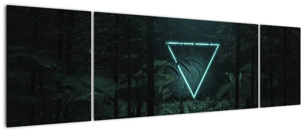 Obraz - Neonowy trójkąt w dżungli (170x50 cm)