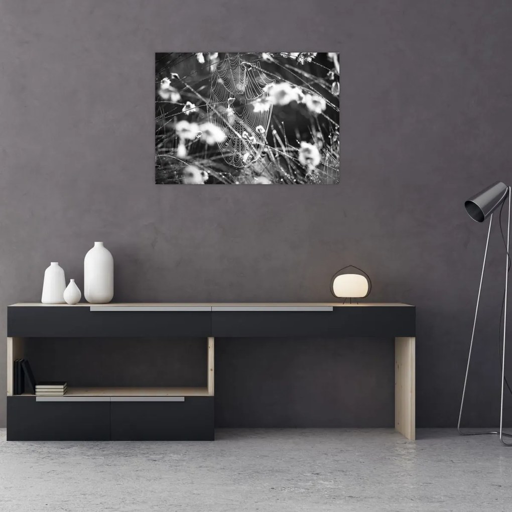 Obraz - Pajęczyna na łące (70x50 cm)