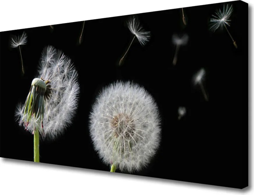 Obraz canvas na ścianę Złocisty Mniszek w Polu