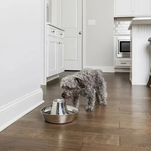 PetSafe® Seaside Fontanna ze stali nierdzewnej 1,8l
