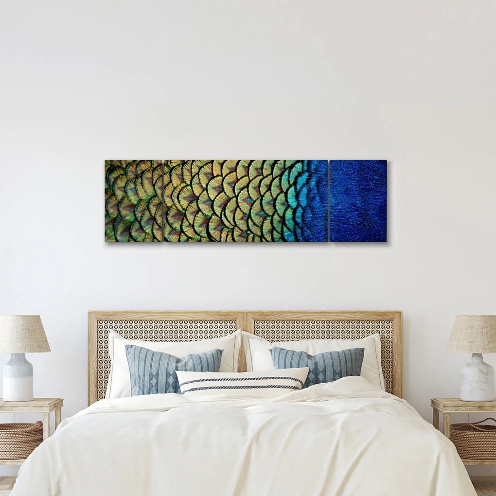 Obraz - Pawie pióra (170x50 cm)