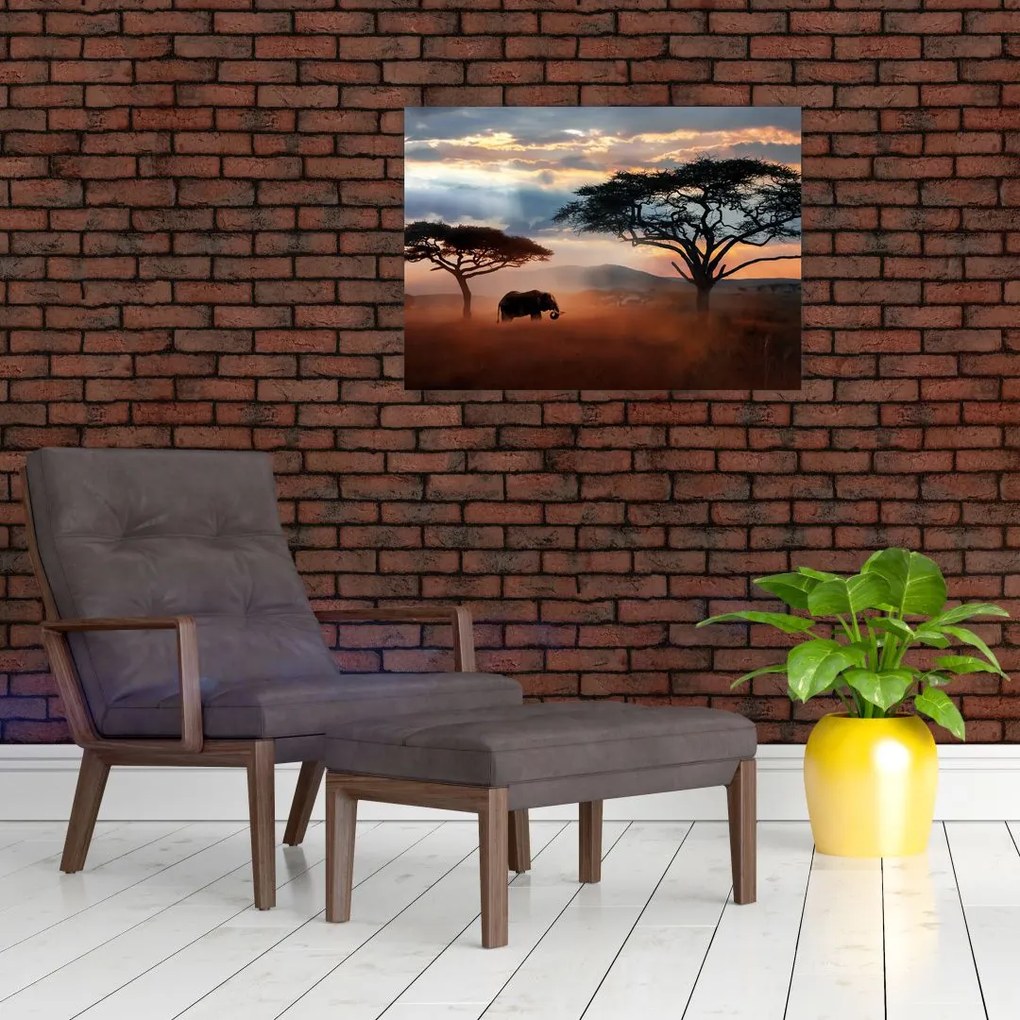 Obraz na szkle - Park Narodowy Serengeti, Tanzania, Afryka (70x50 cm)