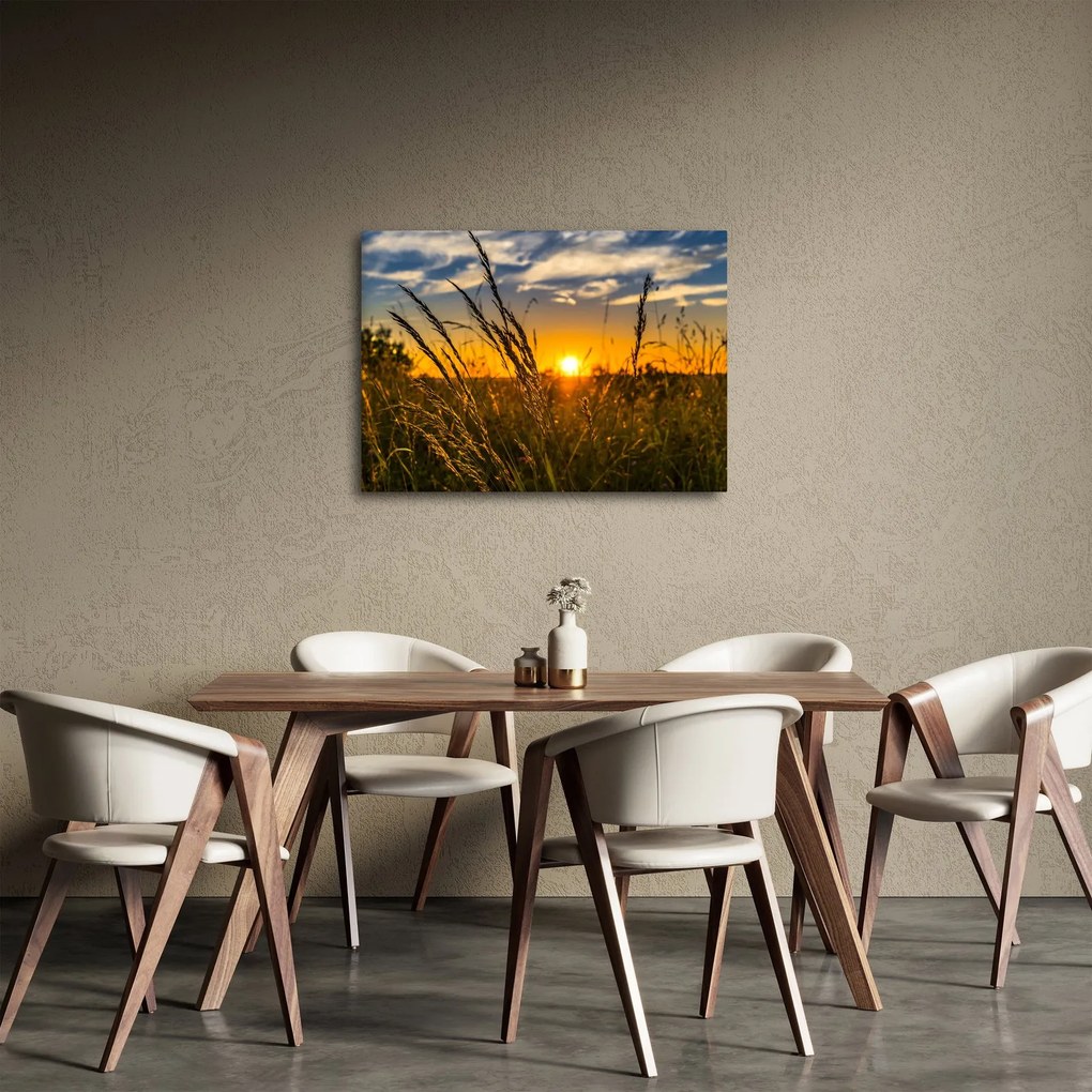 Obraz pola o zachodzie słońca (70x50 cm)