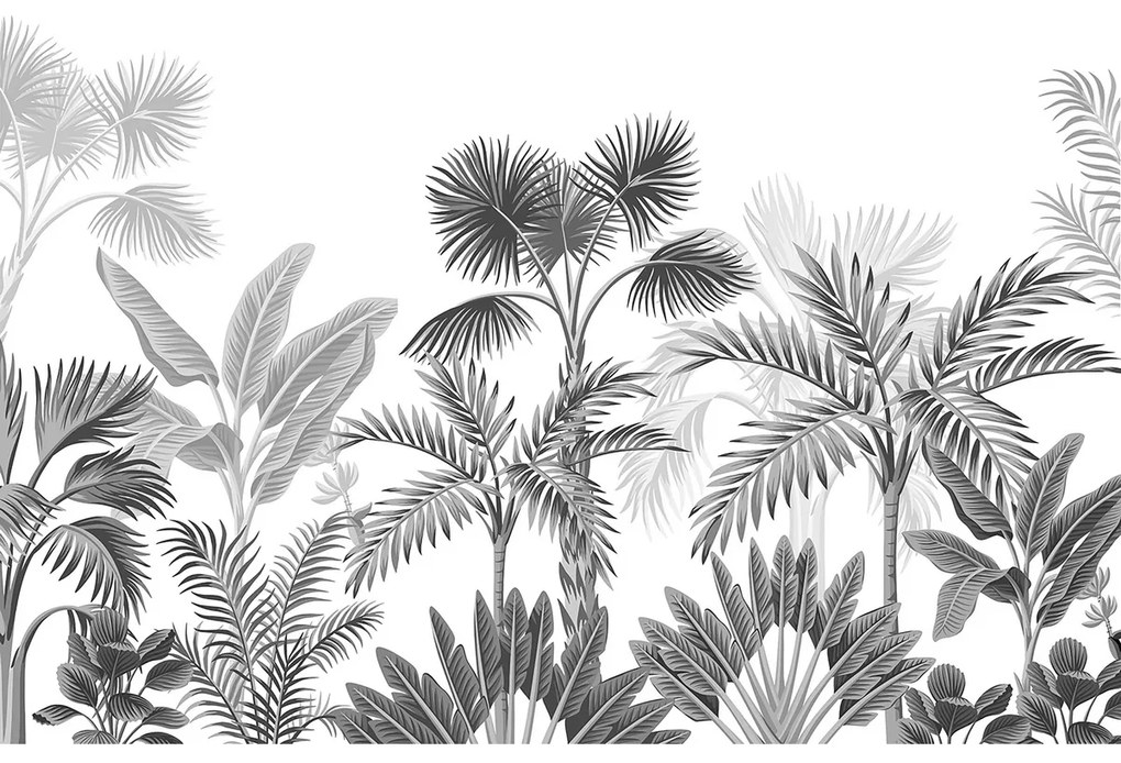 Fototapeta XXL Jungle 360 x 254 cm, 8 części