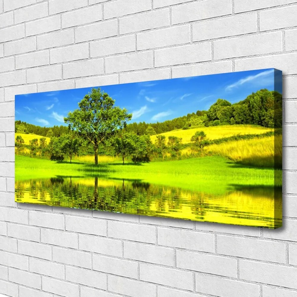 Obraz Canvas Łąka Drzewo Przyroda