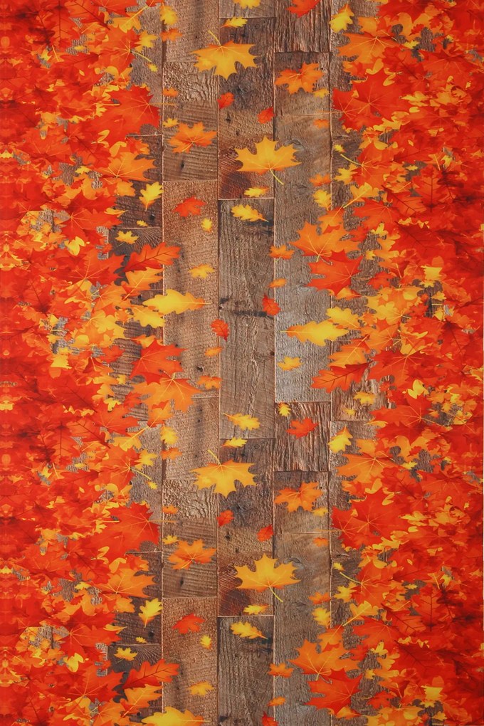 Dywan Chodnik Winylowy Moma Jesienna Droga 052x100 Chodnik