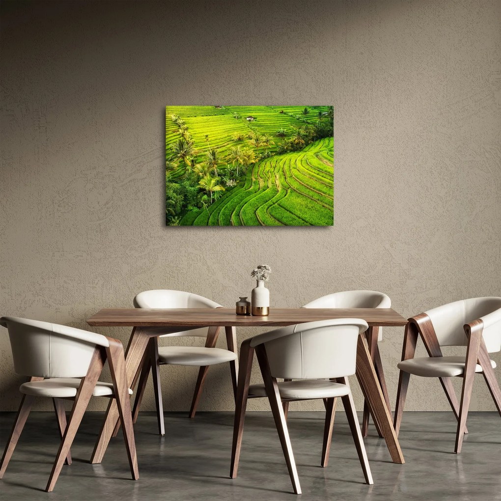 Obraz - Pola ryżowe (70x50 cm)