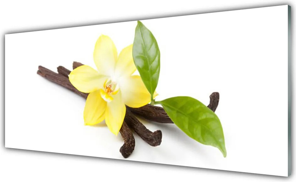 Panel Szklany Botaniczny Portret Wanilii