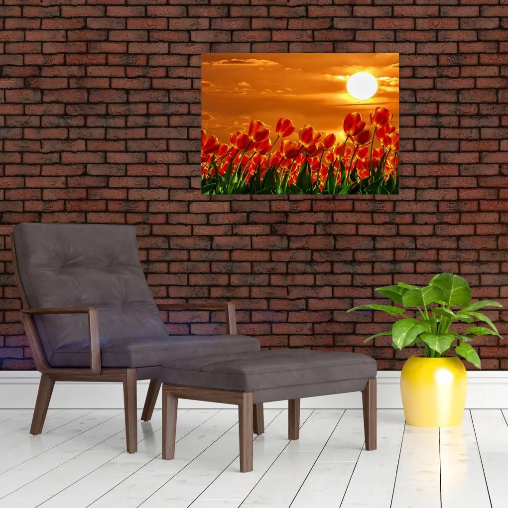Obraz kwitnącego pola z tulipanami (70x50 cm)