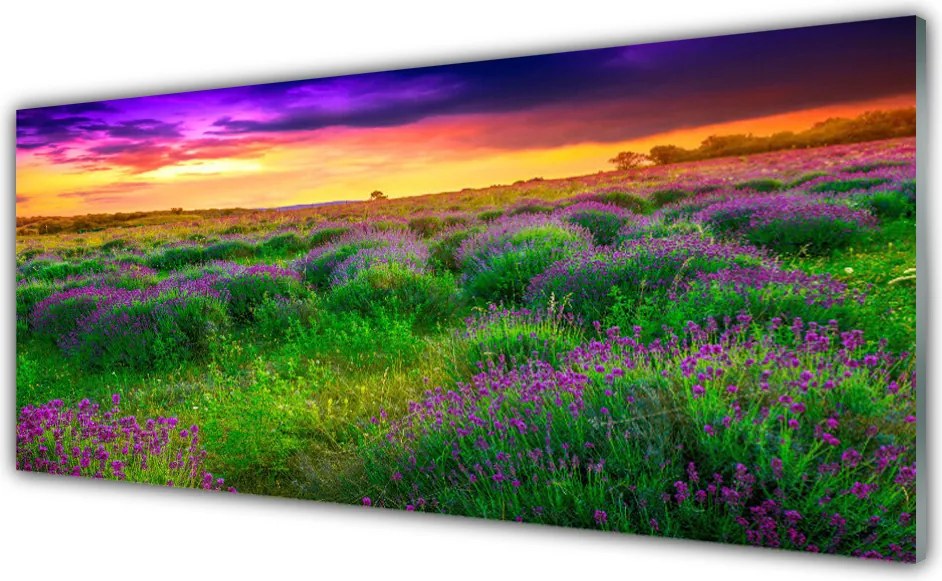 Panel Szklany do Kuchni Bezkres Zielonej Łąki