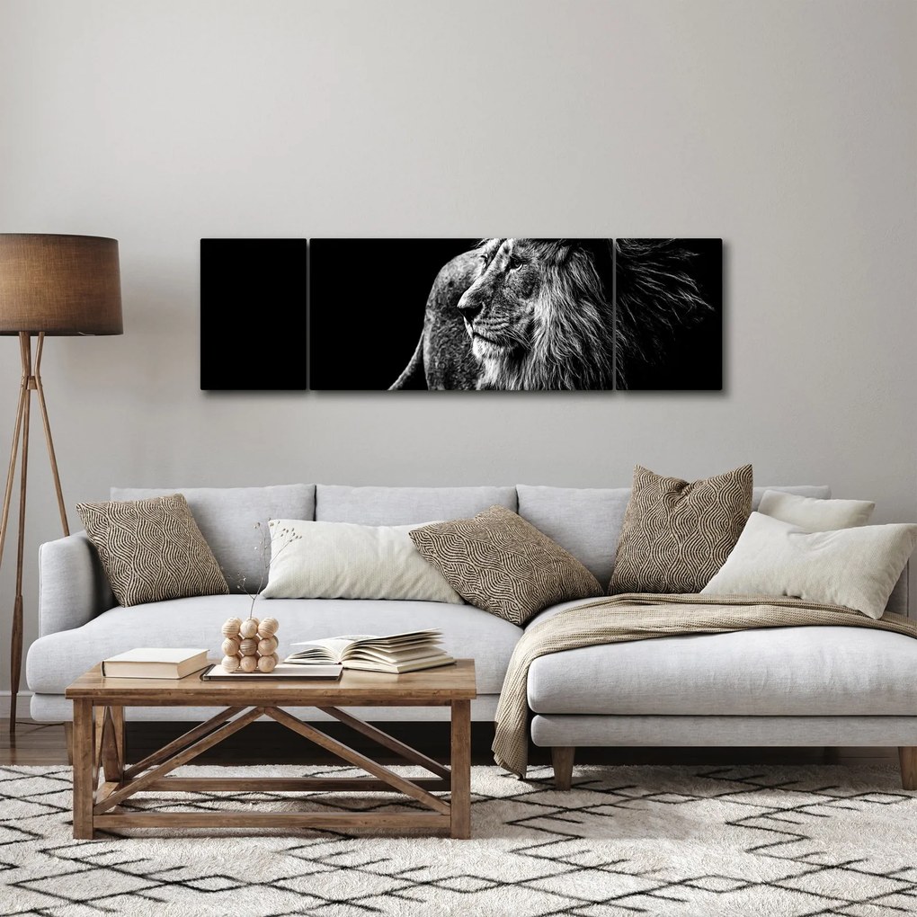 Obraz - Lew (170x50 cm)