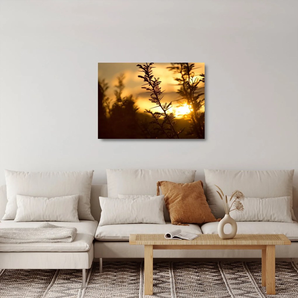Obraz na szkle - słońce zachodzące za drzewami (70x50 cm)