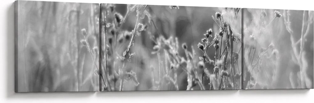 Obraz - Dzika łąka (170x50 cm)