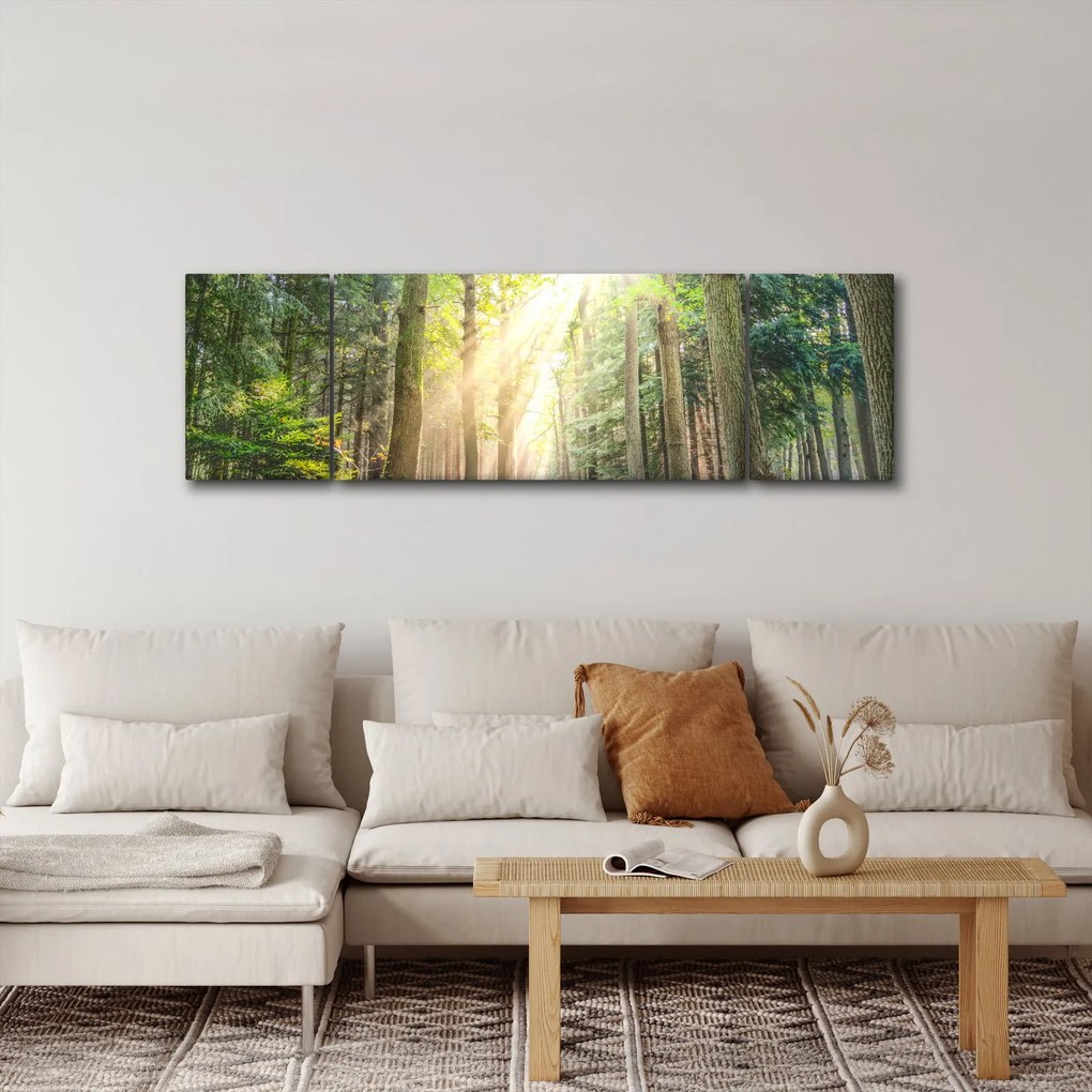 Obraz ścieżki w lesie (170x50 cm)