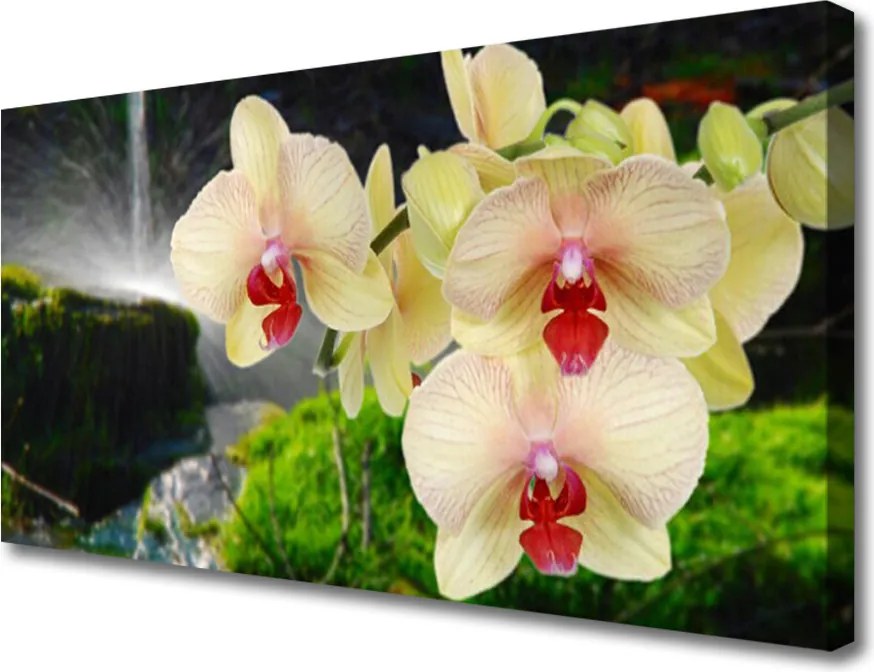 Obraz na płótnie Słońce Przebijające przez Korony