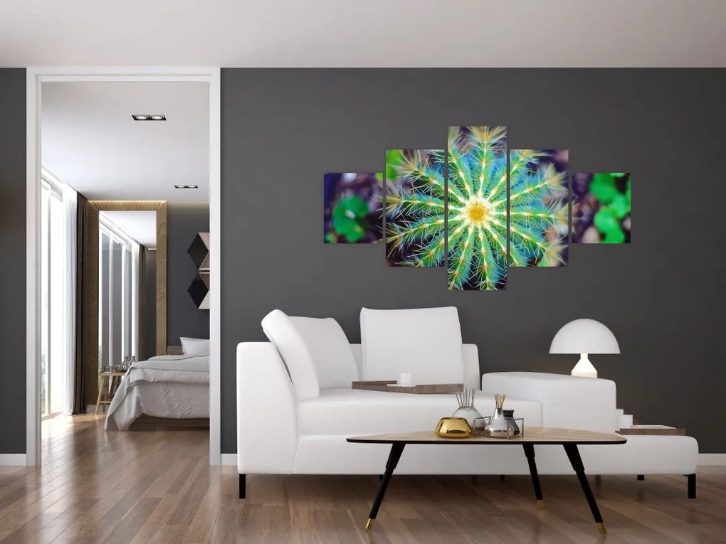 Obraz kaktusa (125x70 cm)