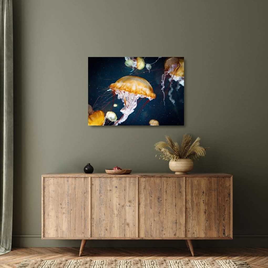 Obraz na szkle meduzy (70x50 cm)