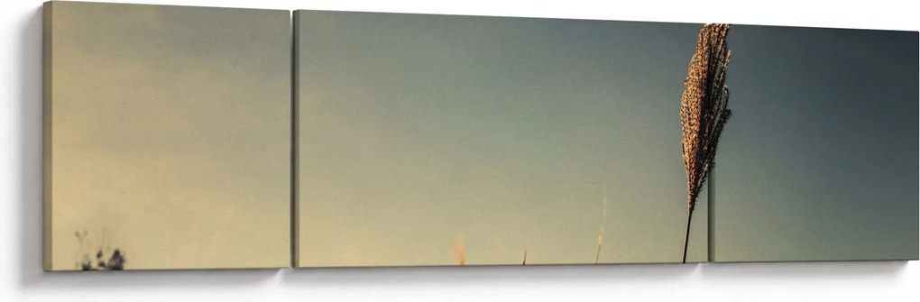 Obraz z trawą (170x50 cm)