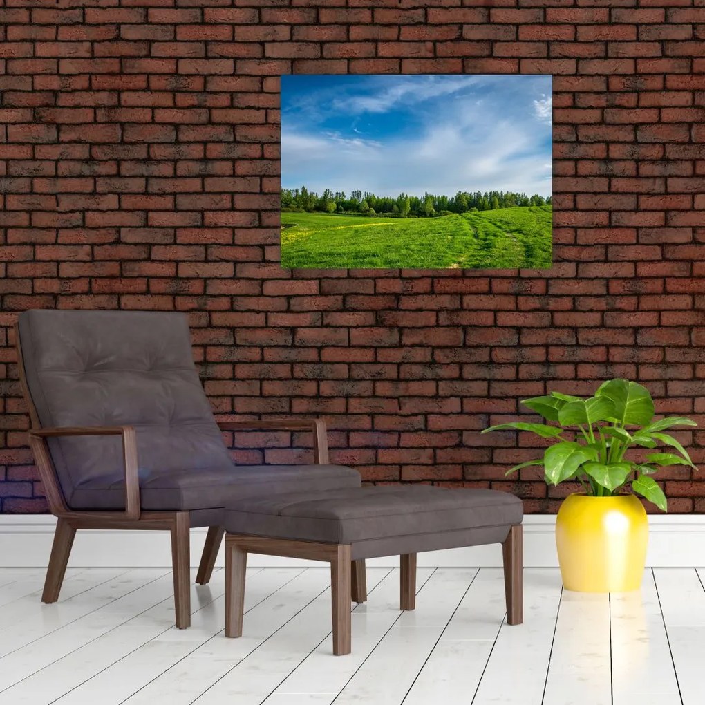 Obraz na szkle - łąka (70x50 cm)
