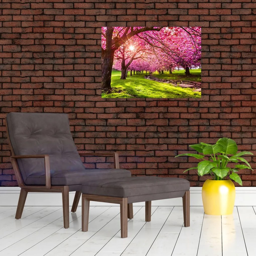 Obraz kwitnących czereśni, Hurd Park, Dover, New Jersey (70x50 cm)