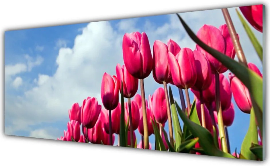 Panel Kuchenny Elegancki Czerwony Tulipan