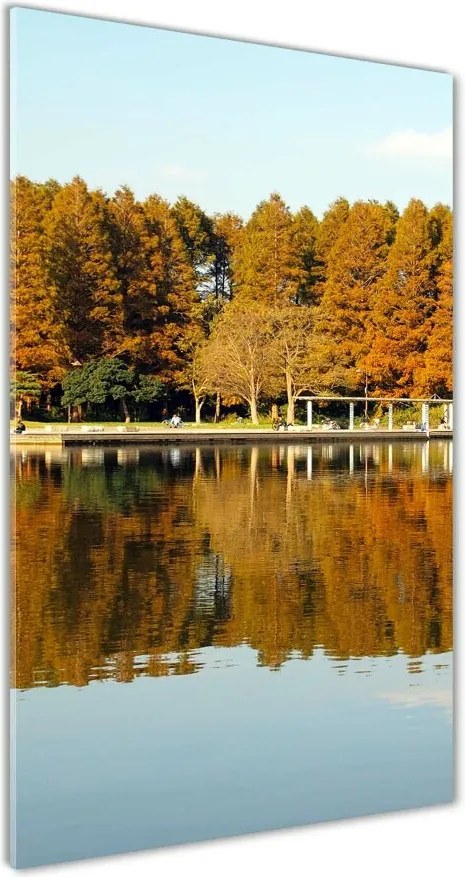 Foto obraz szkło hartowane pionowy Park jesienią