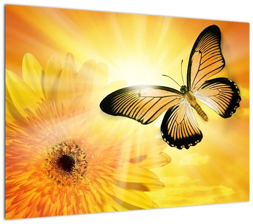 Obraz - Żółty motyl z kwiatkiem (70x50 cm)