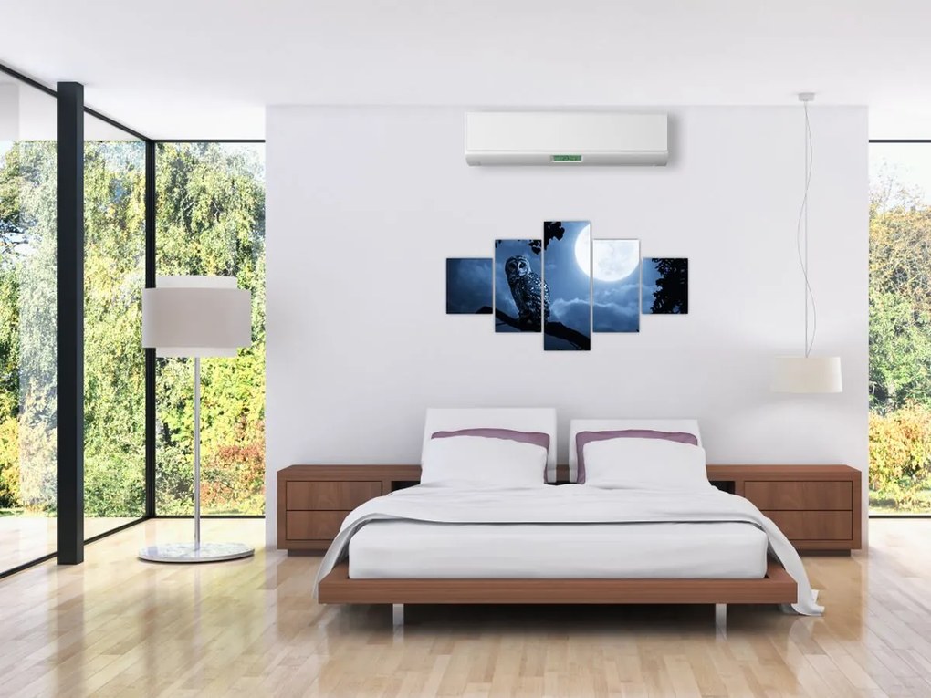 Obraz - Nocna Sowa (125x70 cm)