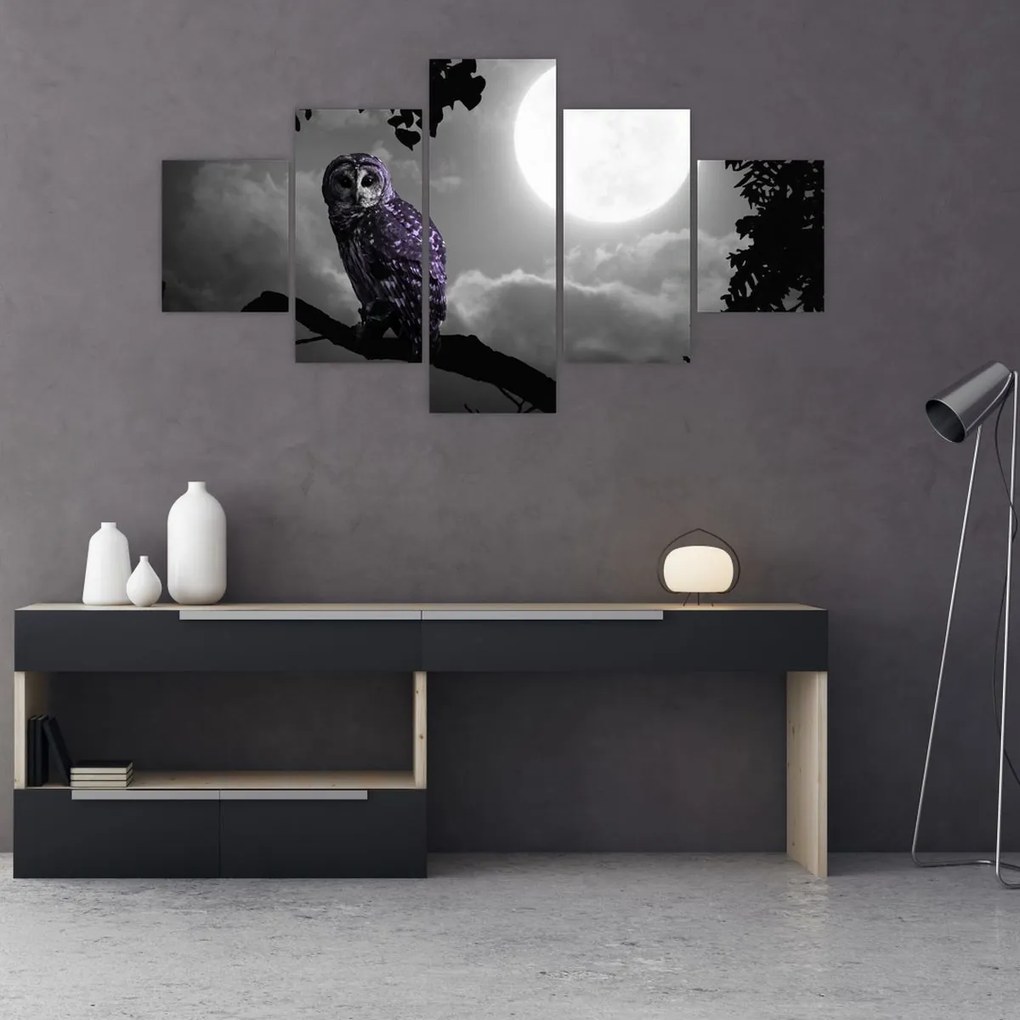 Obraz - Nocna sowa, fioletowa sowa (125x70 cm)