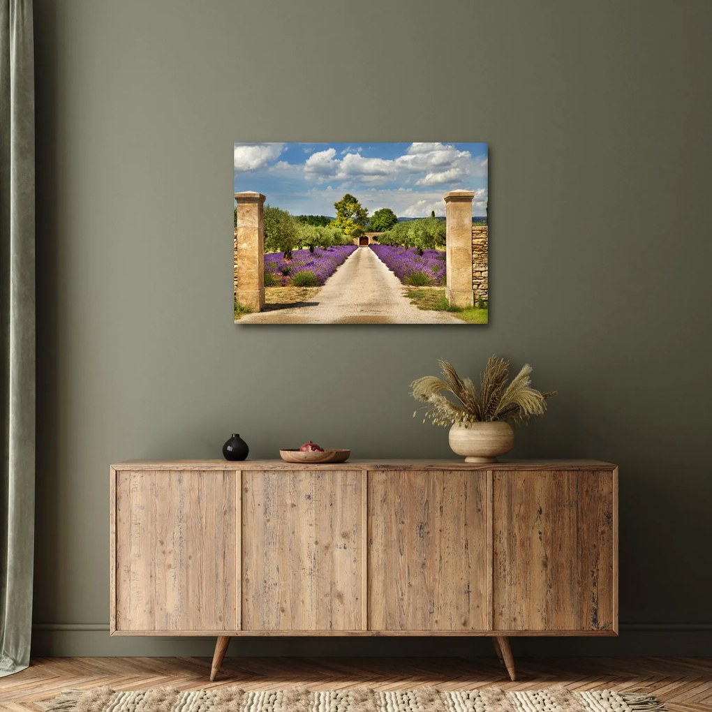 Obraz - Lawendowe ścieżki (70x50 cm)