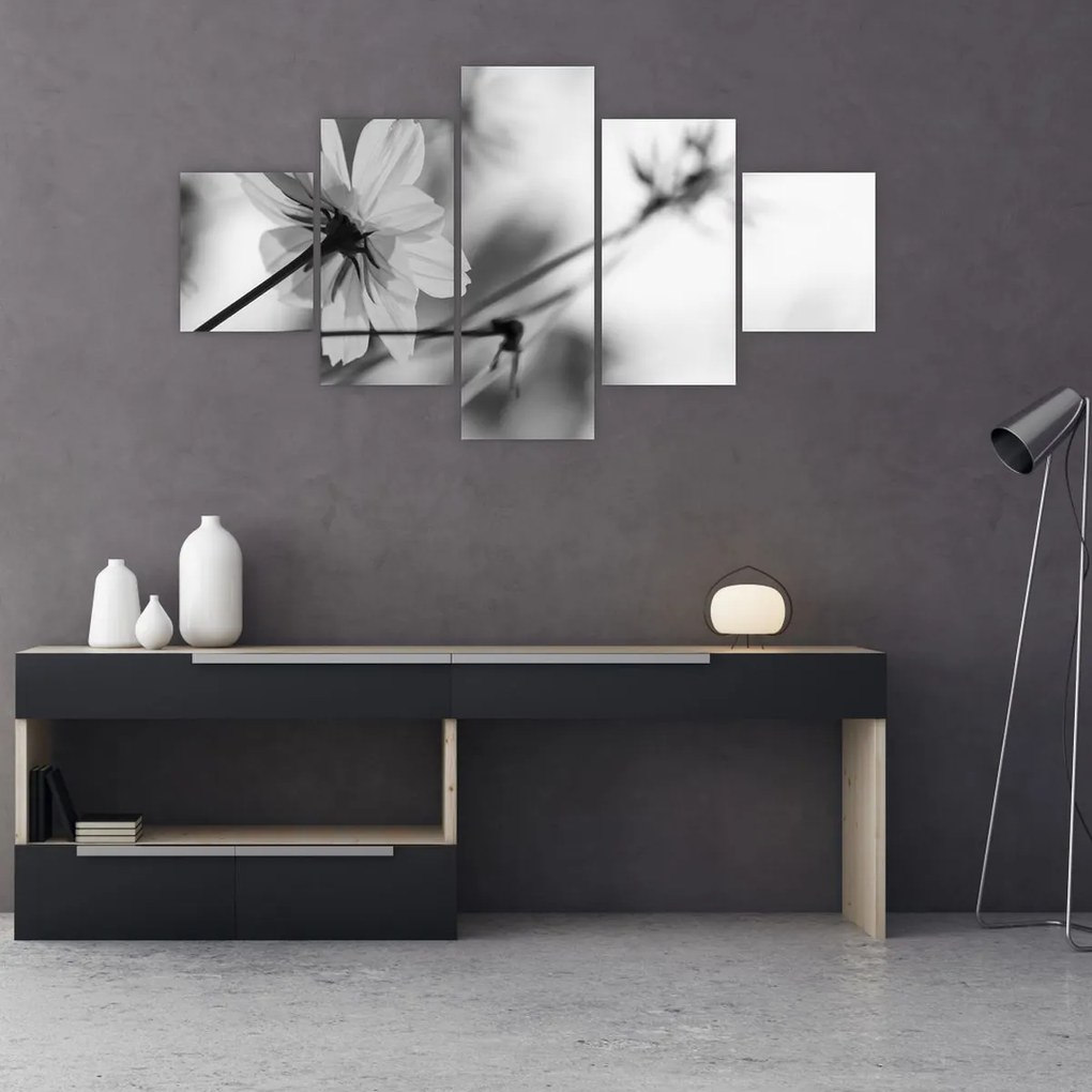 Obraz - Czarno - białe kwiaty (125x70 cm)