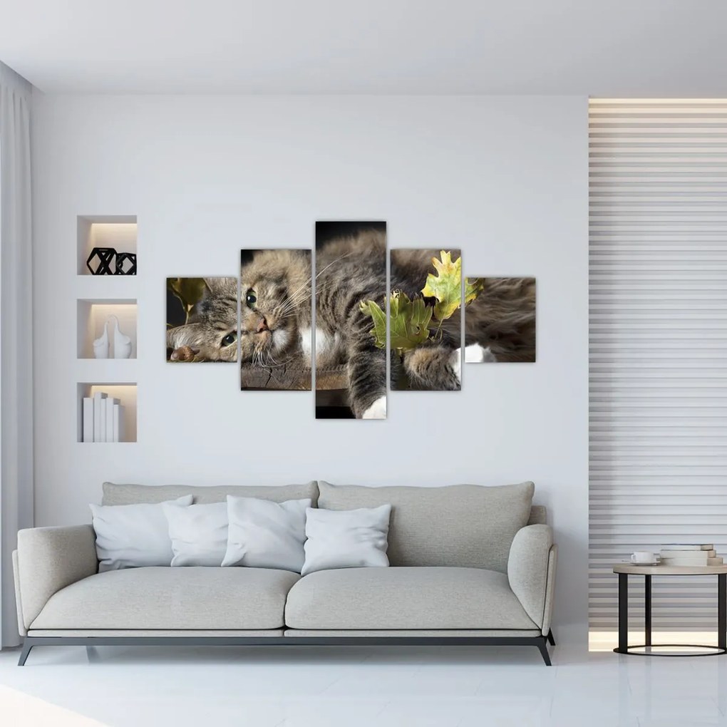 Obraz - Leżący kot (125x70 cm)