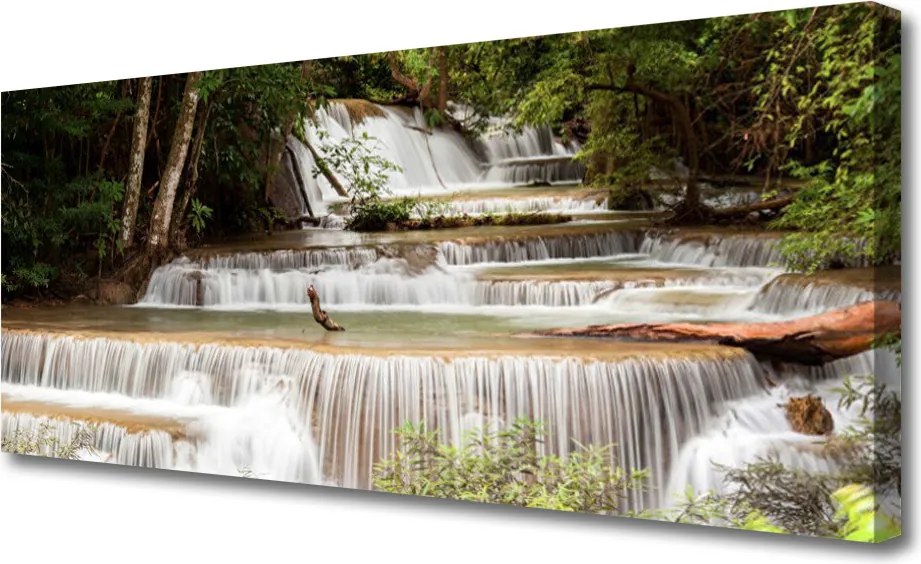 Obraz canvas na ścianę Ukryty Wodospad w Gęstwinie Lasu