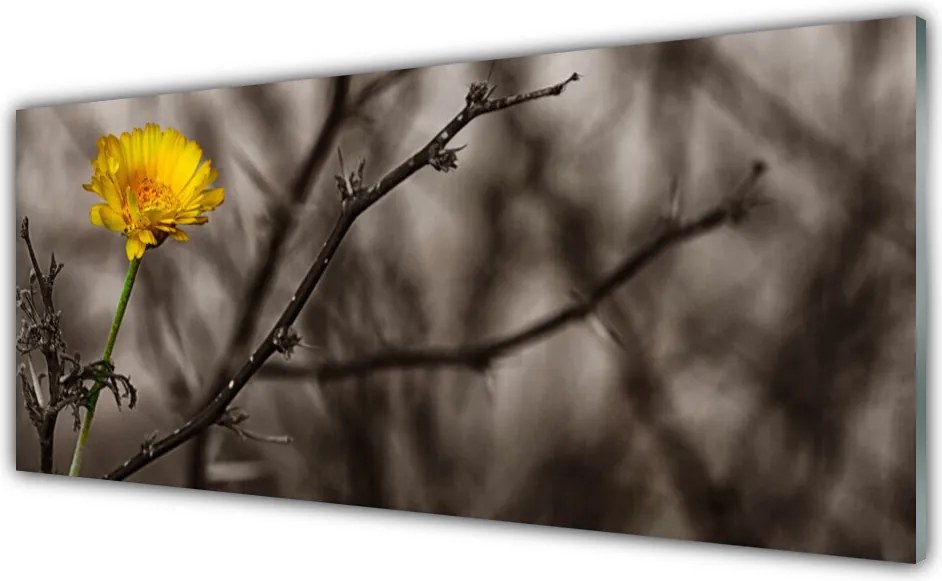 Panel Kuchenny Wiosenna Gałązka Kwiatowa