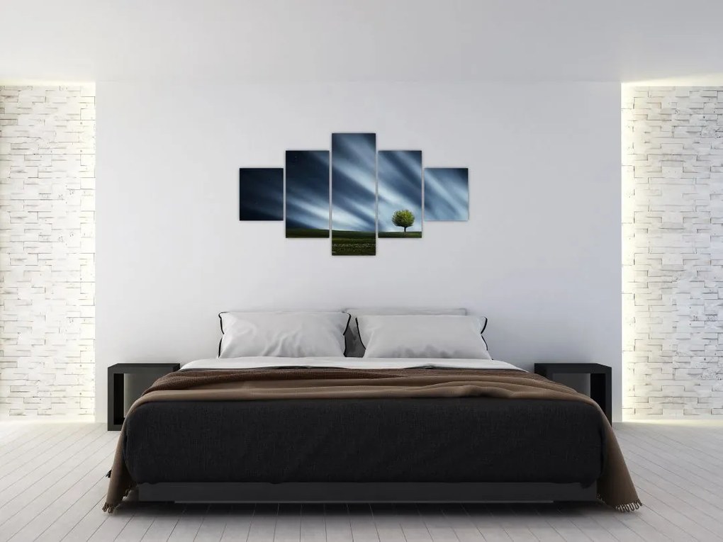Obraz zorzy polarnej nad wrzosowiskami (125x70 cm)