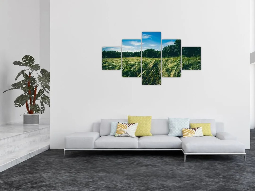 Obraz łąki i lasu (125x70 cm)